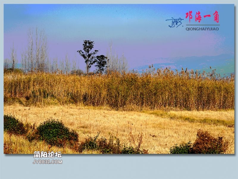 邛海一角——07.jpg