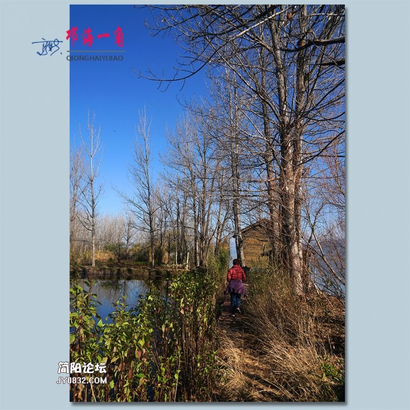 邛海一角——11.jpg