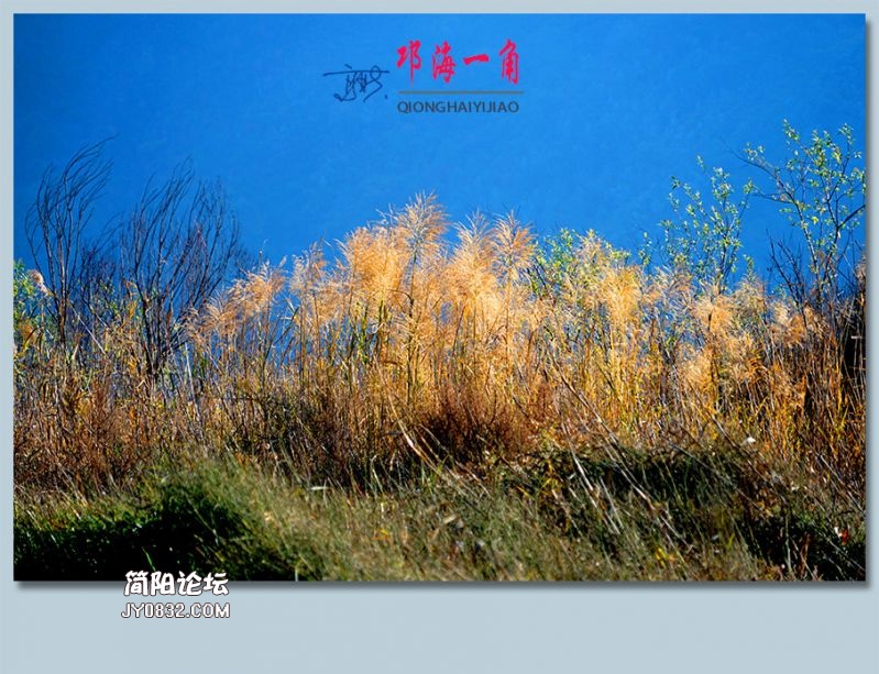 邛海一角——23.jpg