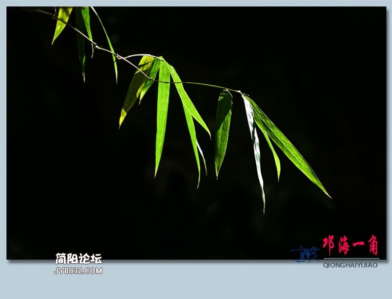 邛海一角——25.jpg