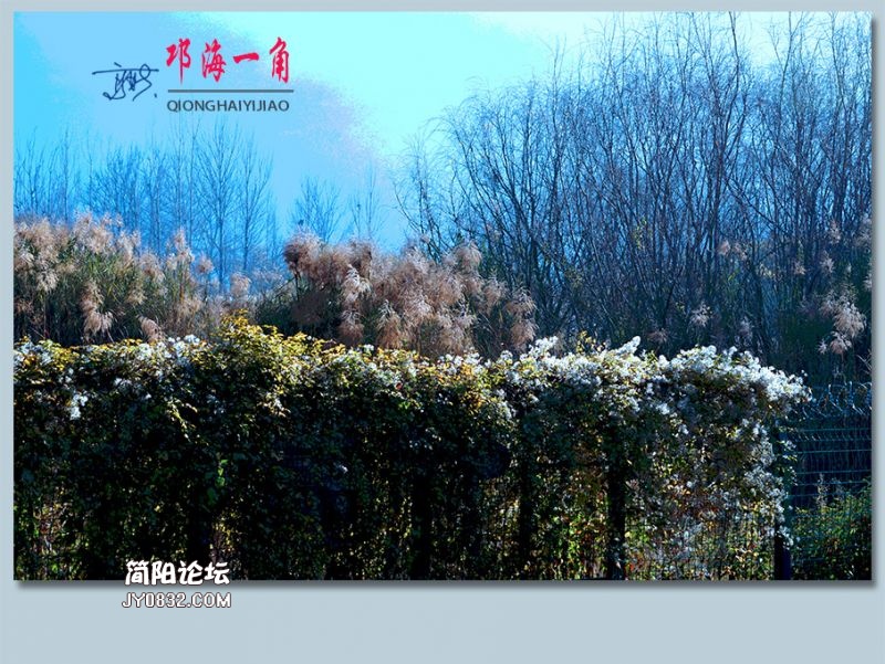 邛海一角——32.jpg