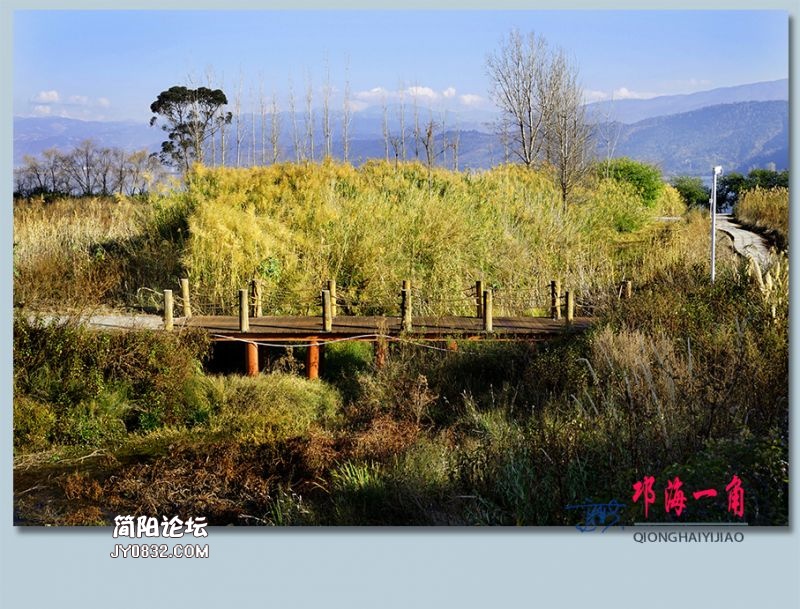 邛海一角——35.jpg