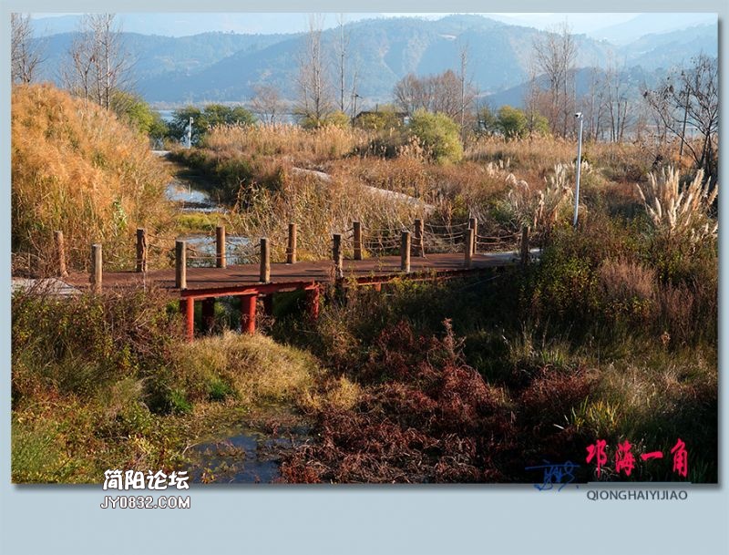 邛海一角——36.jpg