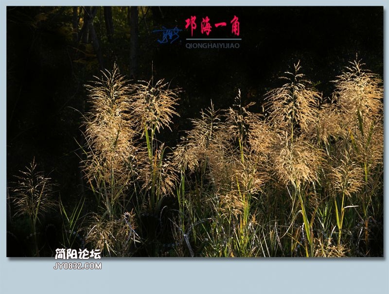 邛海一角——43.jpg