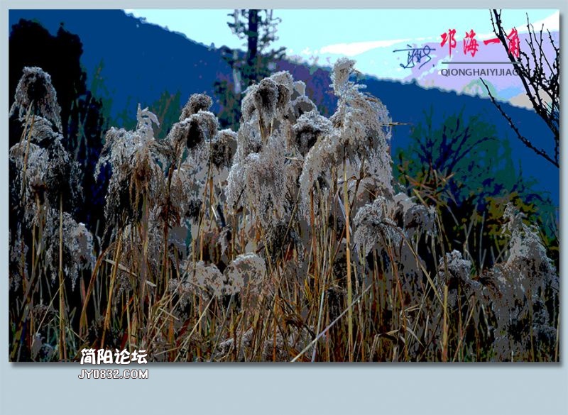 邛海一角——44.jpg