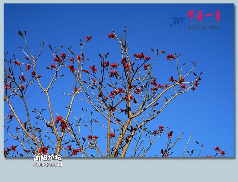 邛海一角——52.jpg