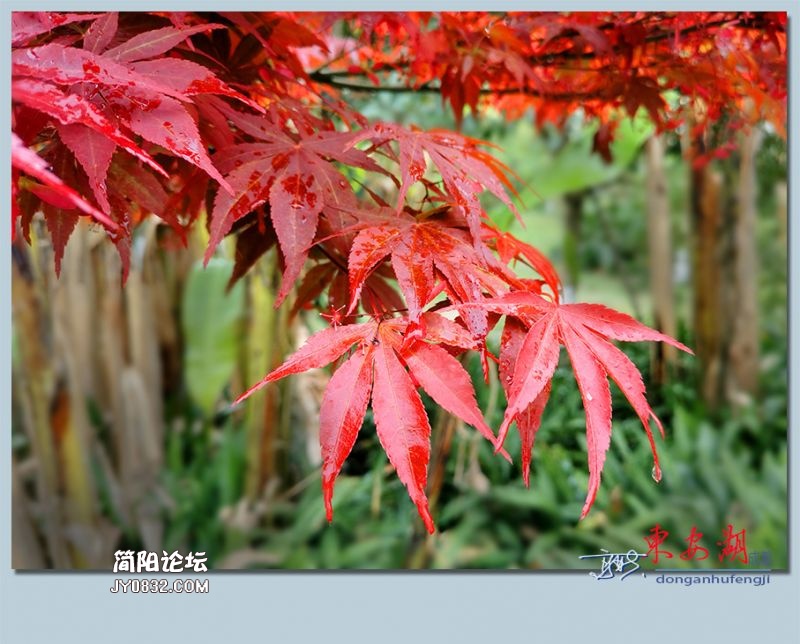 东安湖——12.jpg