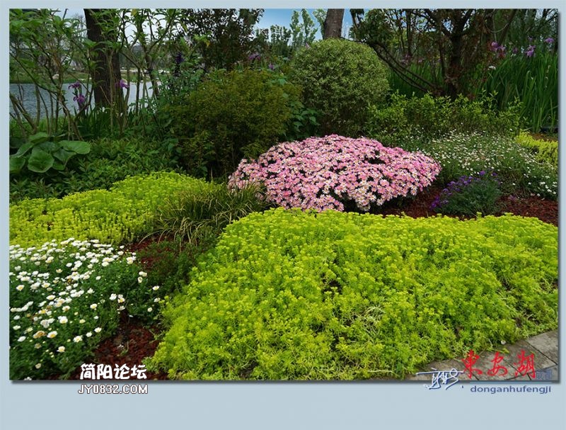 东安湖——44.jpg
