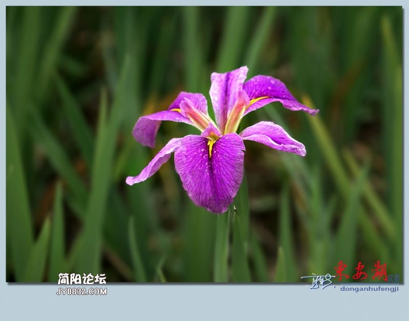 东安湖——47.jpg
