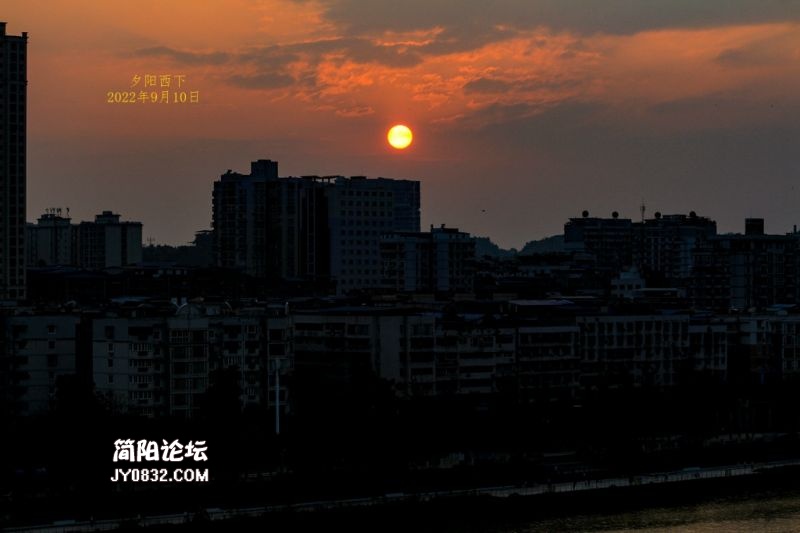 IMG_2541.jpg