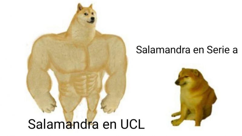 48.jpg