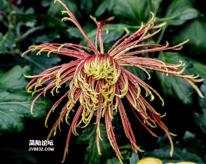 3C7A2067.jpg