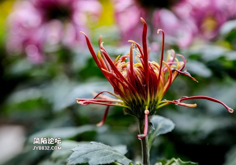 3C7A2089.jpg