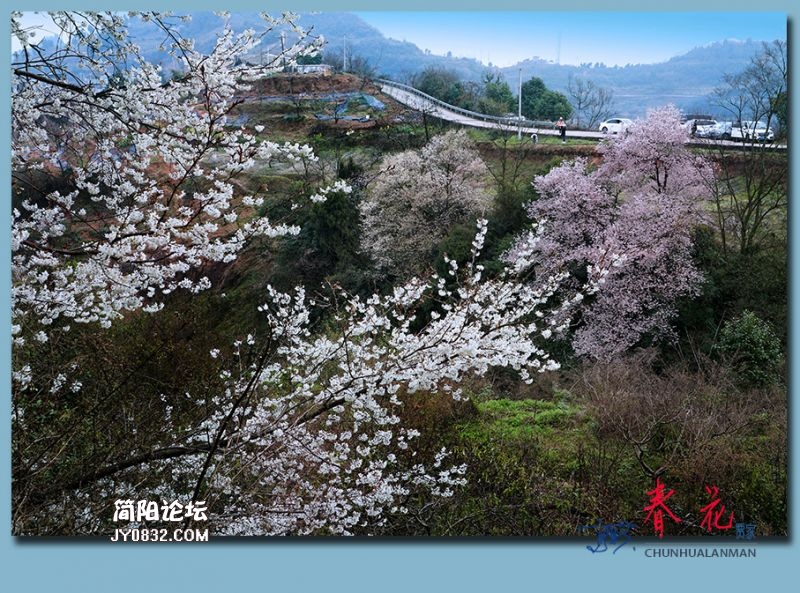 春花——31.jpg