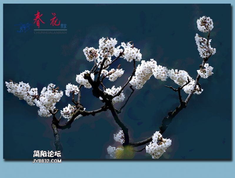 春花——53.jpg