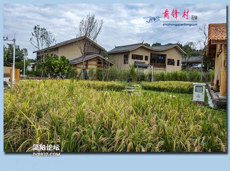前锋村——18.jpg