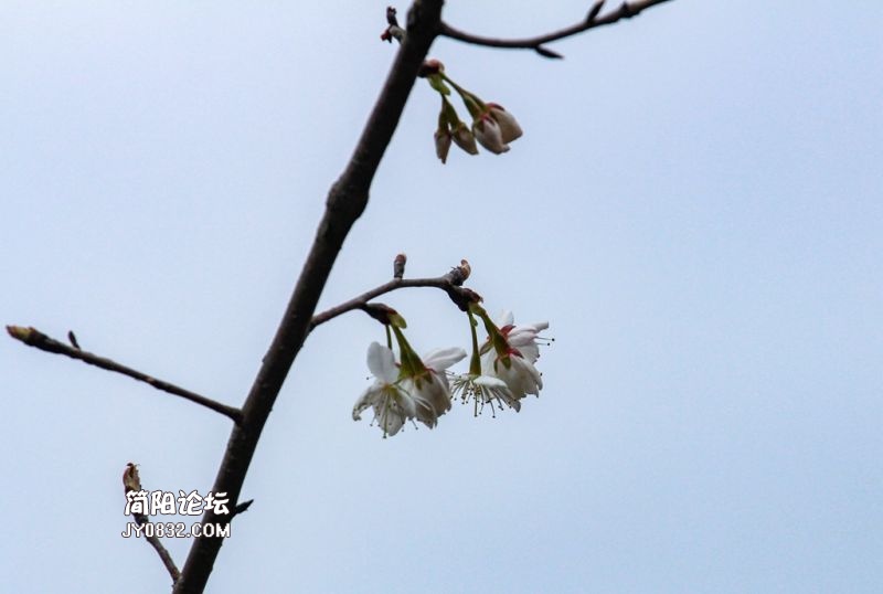 IMG_3014.jpg
