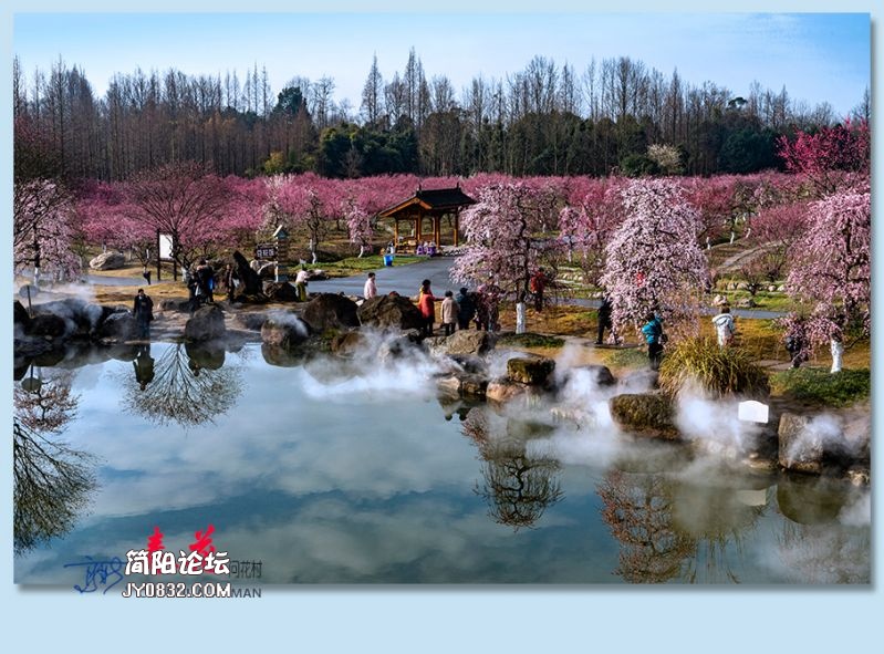 春花——36.jpg