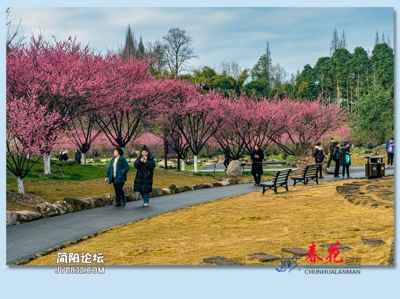 春花——43.jpg