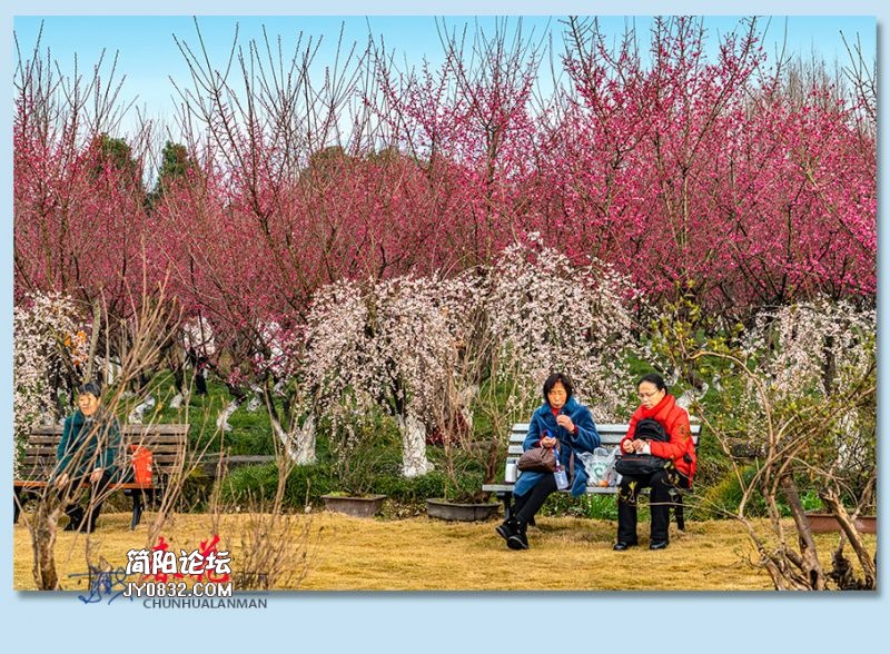 春花——47.jpg