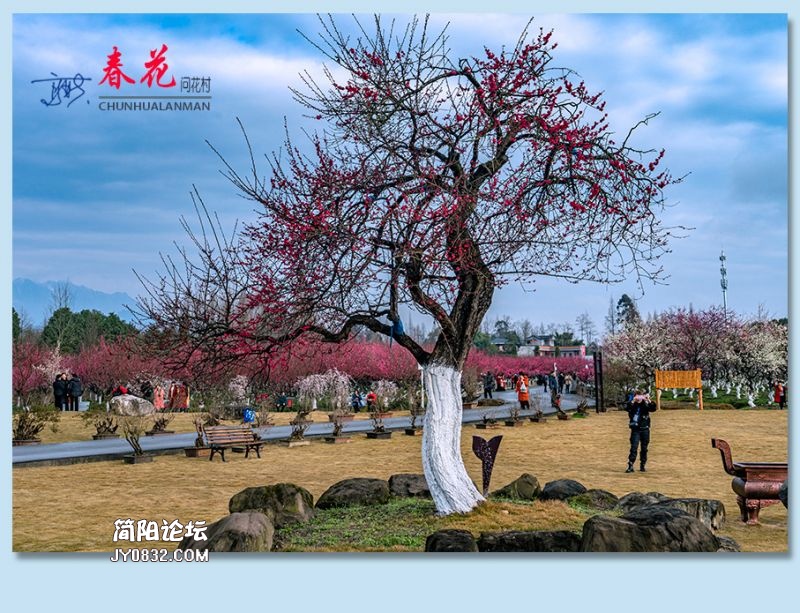 春花——45.jpg