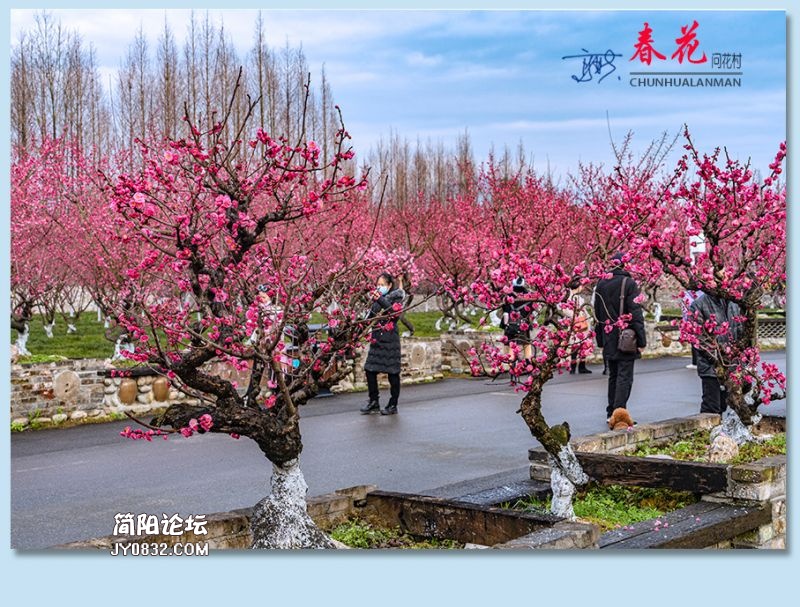 春花——49.jpg