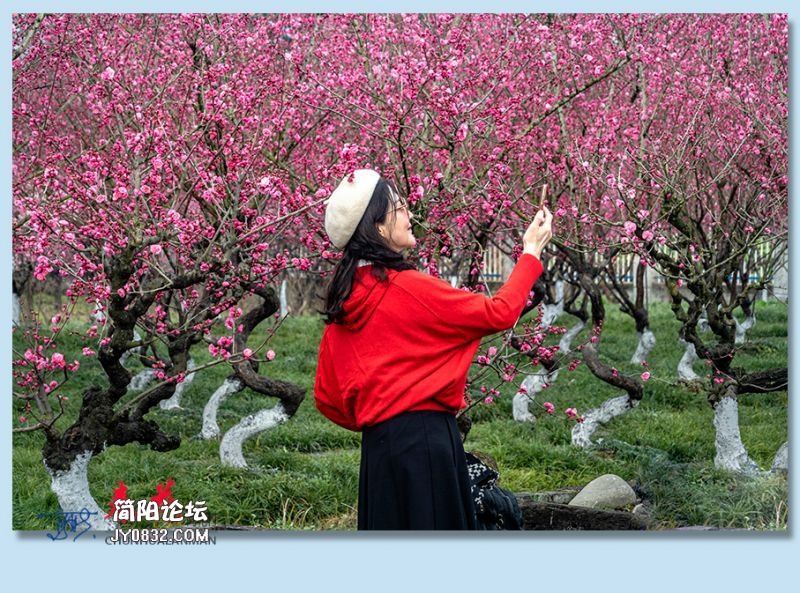 春花——57.jpg