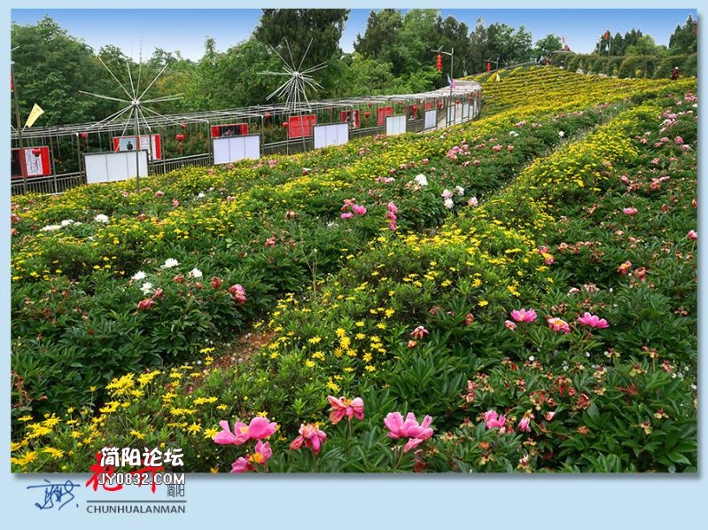 春花——14.jpg