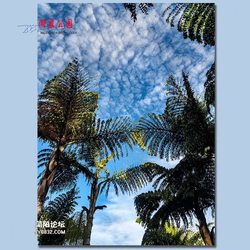 湖泉公园——15.jpg
