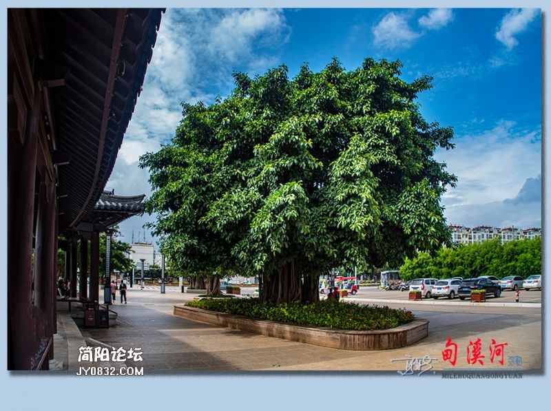 甸溪河——22.jpg
