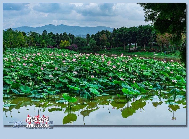 甸溪河——63.jpg