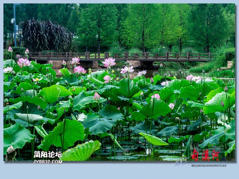 甸溪河——70.jpg