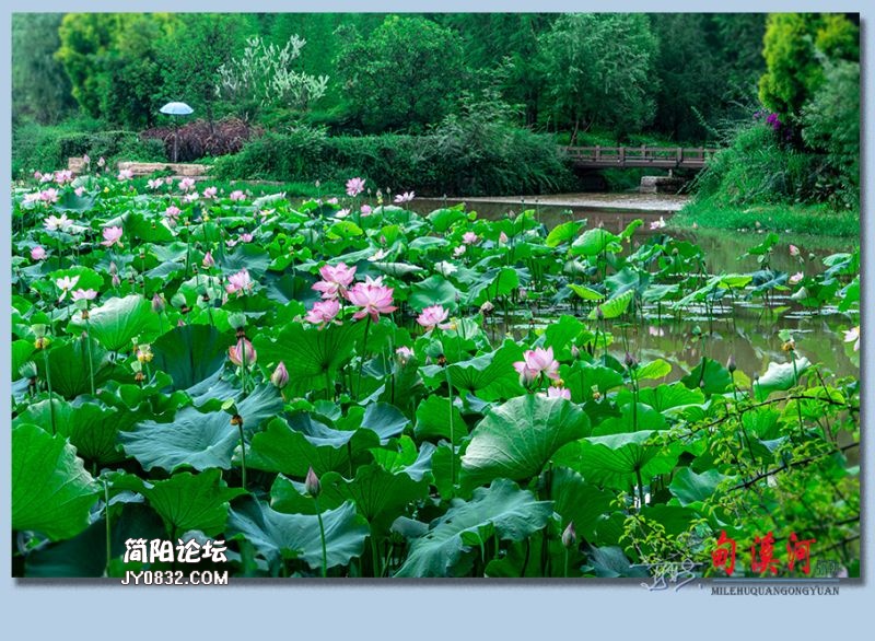甸溪河——74.jpg