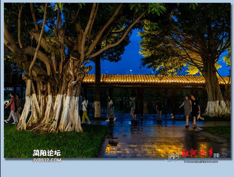 红河水乡——54.jpg