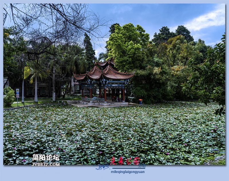 庆来公园——20.jpg
