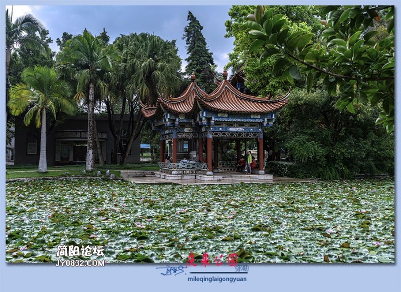 庆来公园——22.jpg