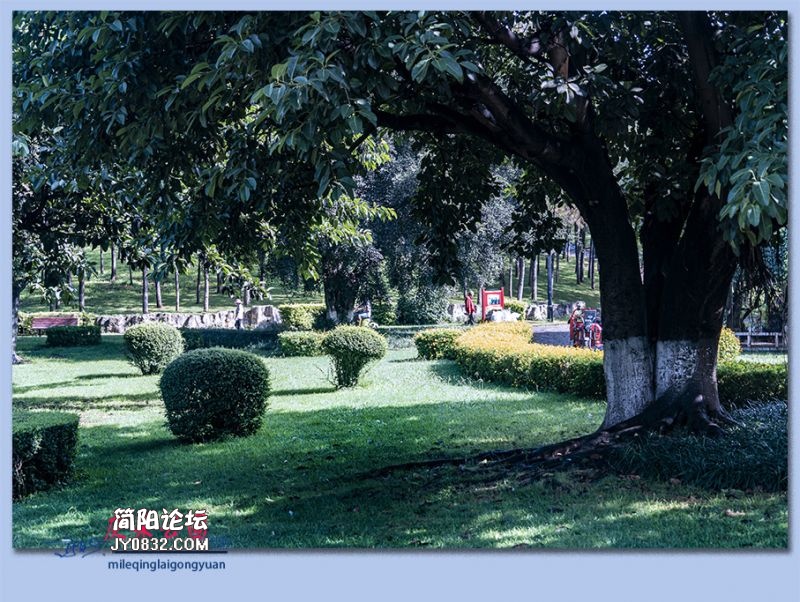 庆来公园——60.jpg