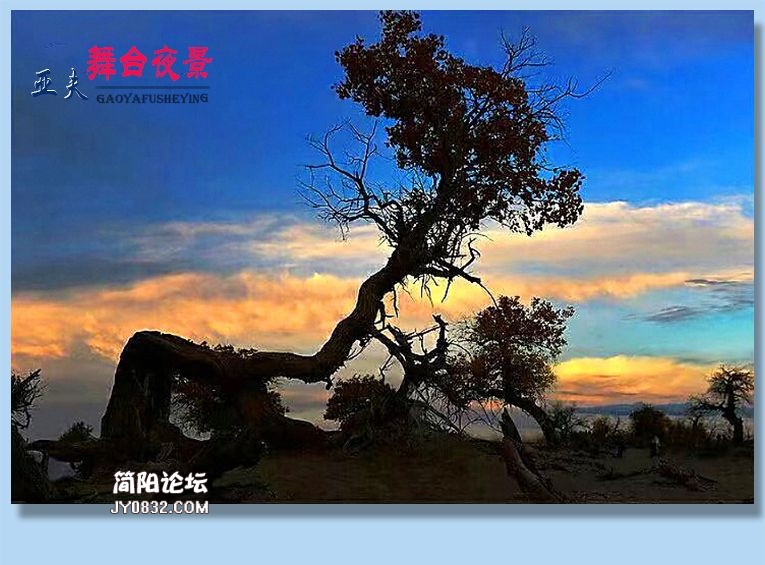 31——舞台夜景.jpg