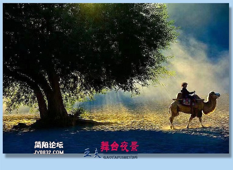 34——舞台夜景.jpg