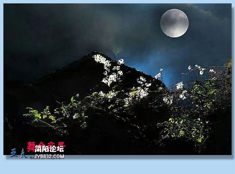 54——舞台夜景.jpg
