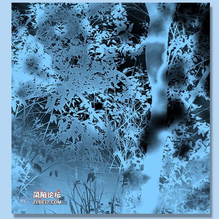 87——植物.jpg