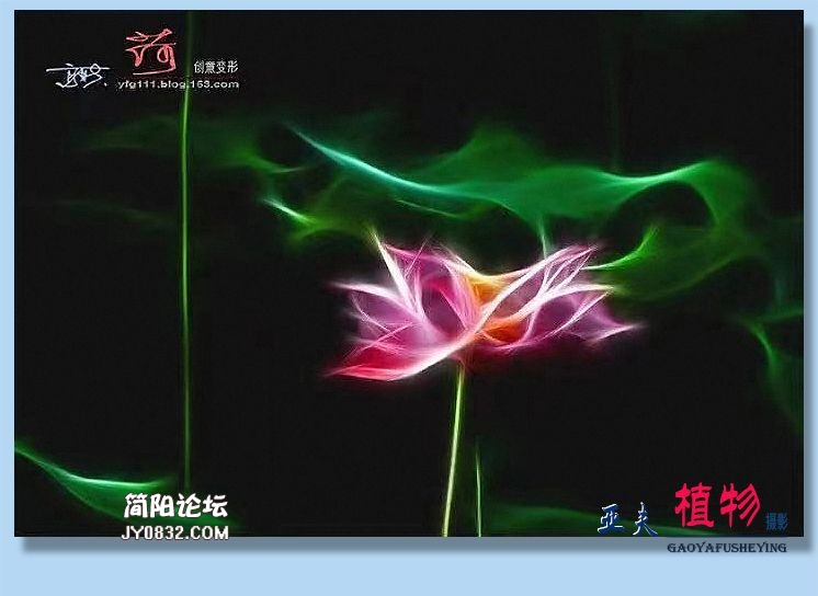 94——植物.jpg