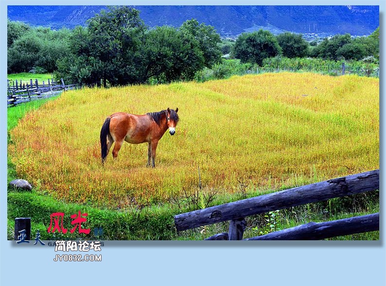 36——风光.jpg