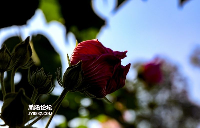 3C7A7952.jpg