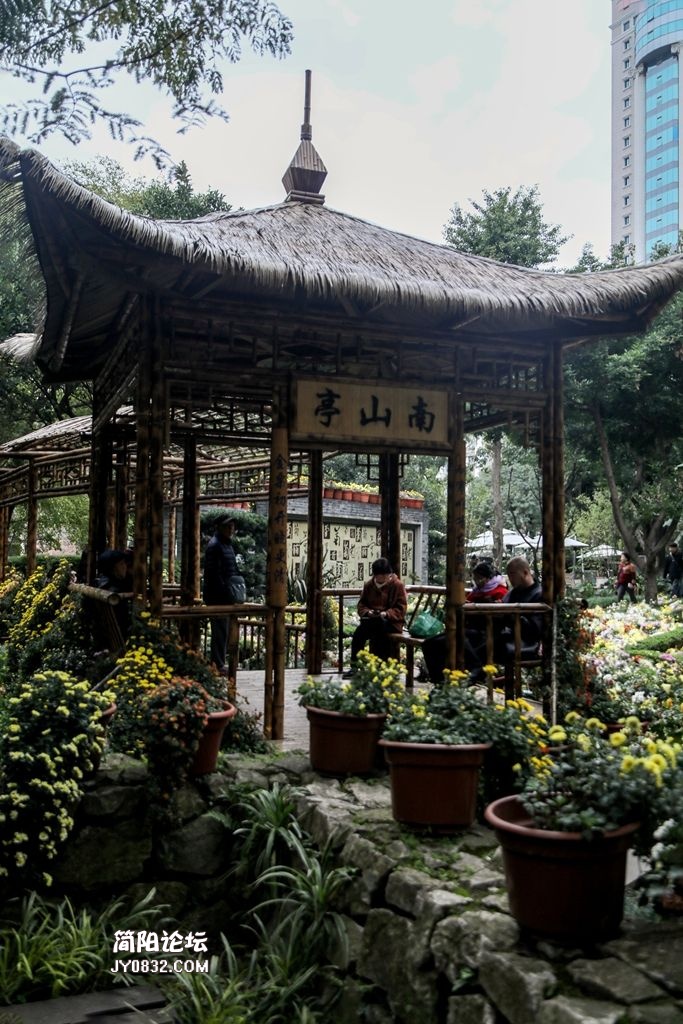 3C7A8752.jpg
