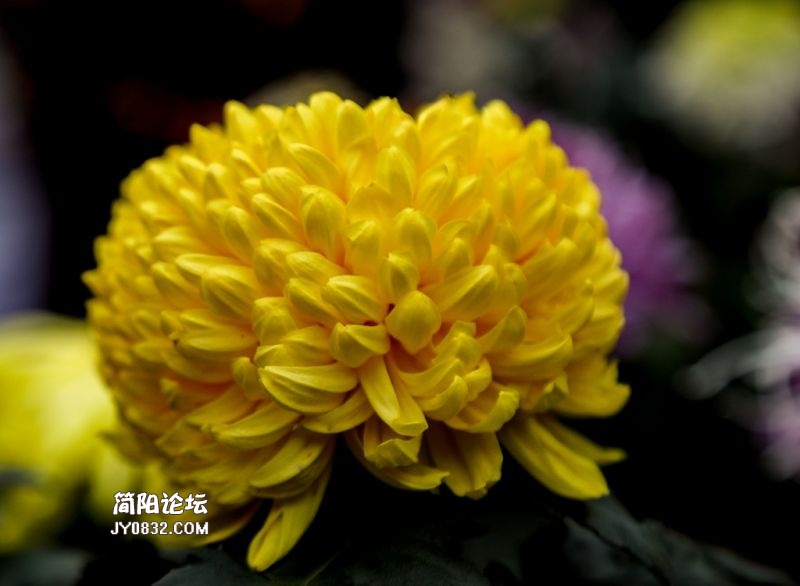3C7A8675.jpg