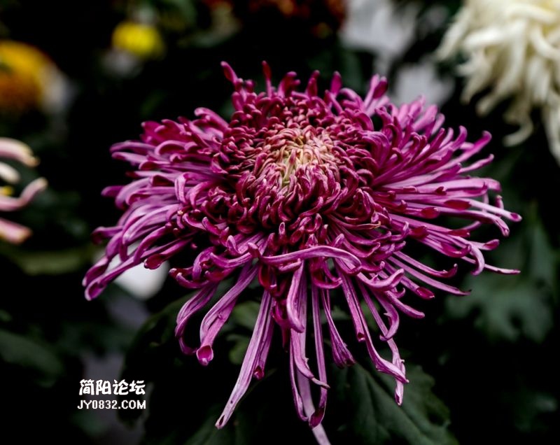 3C7A8678.jpg