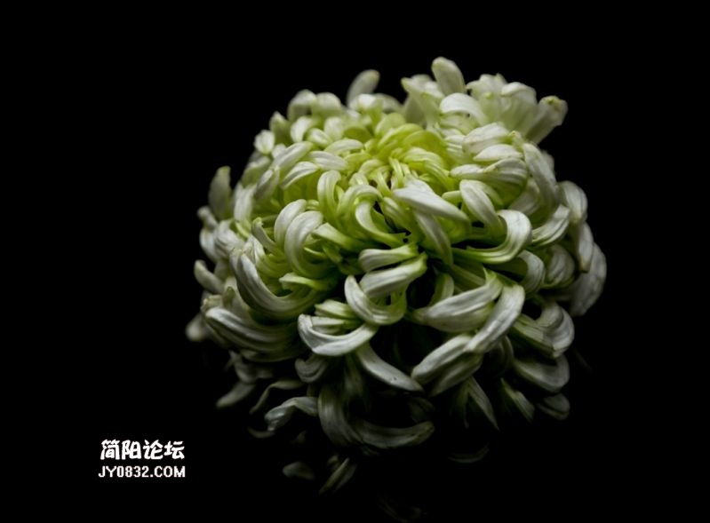 3C7A8697.jpg