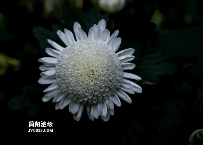 3C7A8716.jpg