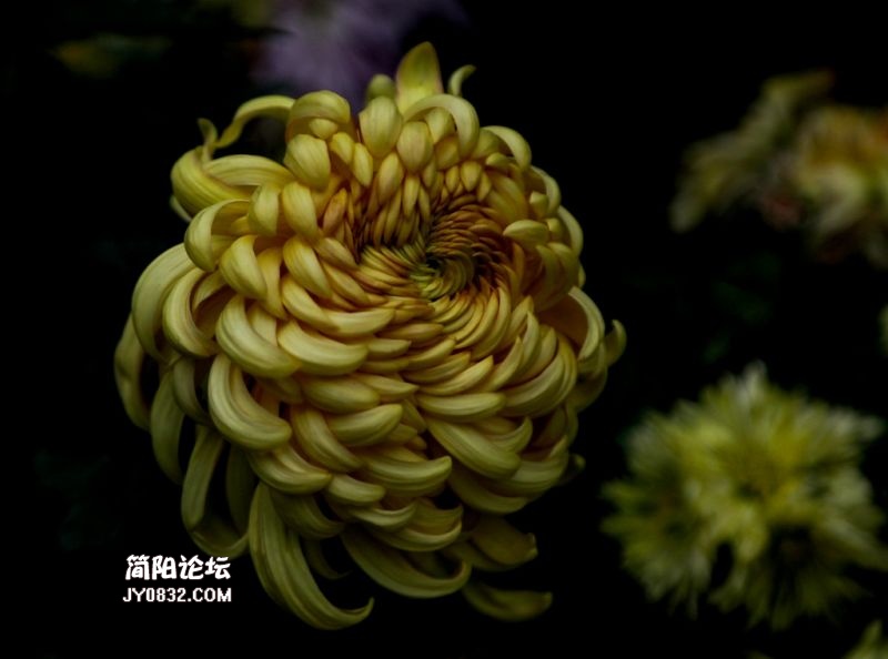 3C7A8727.jpg